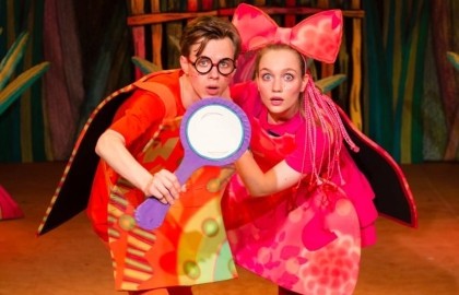 Сокровища Бразилии