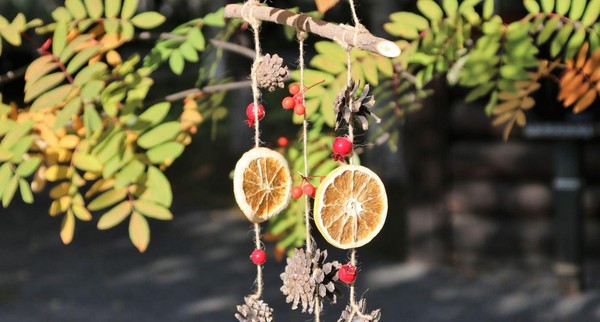 Мастер-класс «Панно новогоднее «Апельсин»