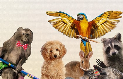 Сказка о белом тигре