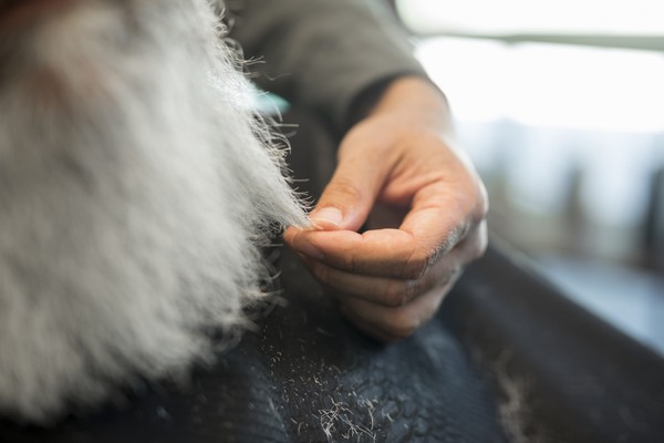 Три желания