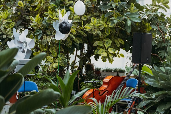 Тёплый джаз для малышей в оранжерее