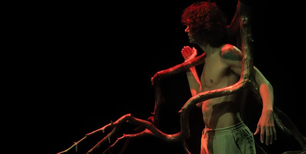 Очевидная жертва. Roots