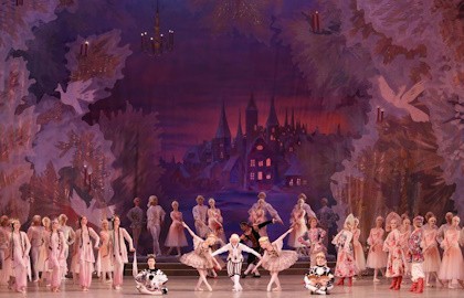 Щелкунчик сп. АРБ