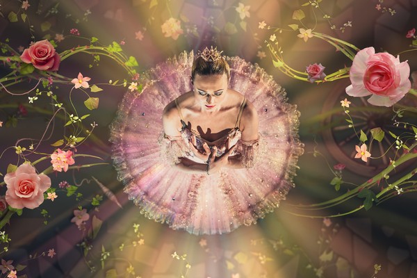 Спящая красавица