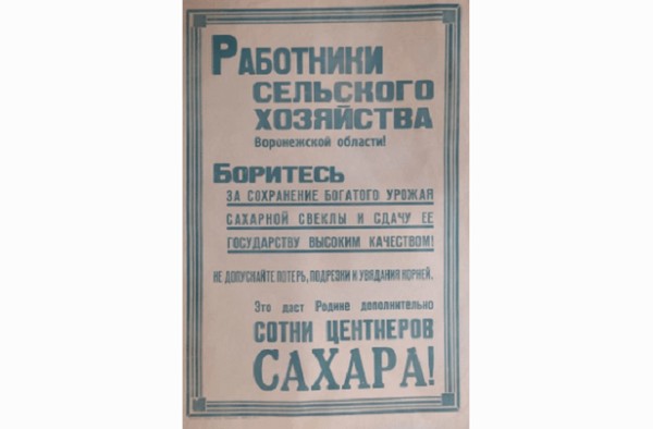 Тематическая беседа «Воронежские пятисотницы»