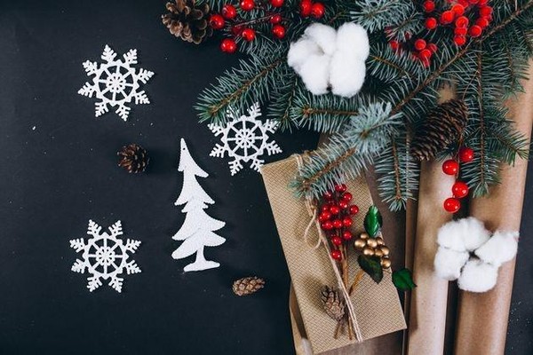 Поэтическая программа «Рифмы Нового года»