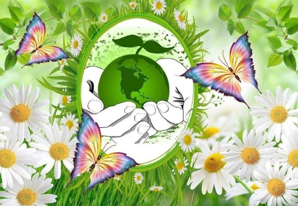 Тематическая программа «Я люблю свою природу»