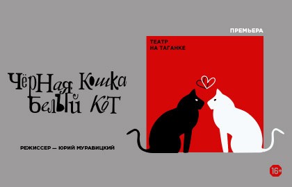 Чёрная кошка, белый кот