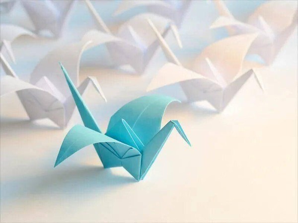 Программа «Журавли Победы»