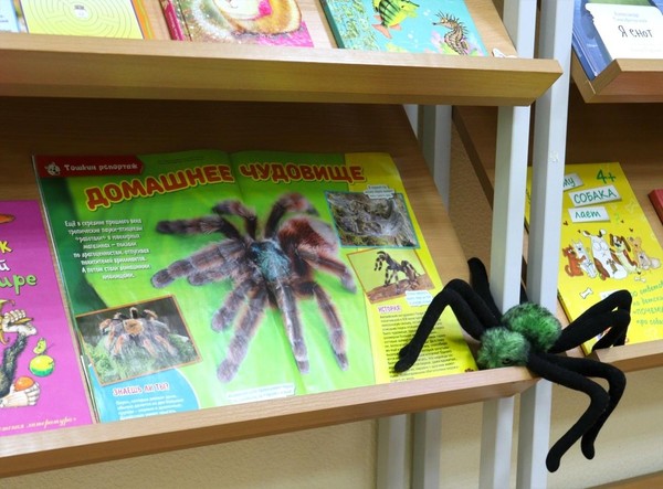 Час экологии «О братьях наших меньших»