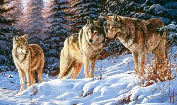 Час русской культуры «Егорий Зимний»