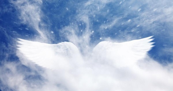 Гала–концерт регионального конкурса «Распахнутые крылья»