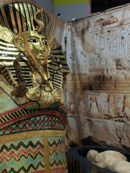 Выставка-шоу «Древний Египет»