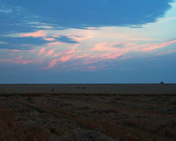 Лекция «Как обнаружили место Куликовской битвы: история научных поисков, охватывающая два столетия»