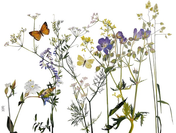 Выставка «Флора и фауна России»