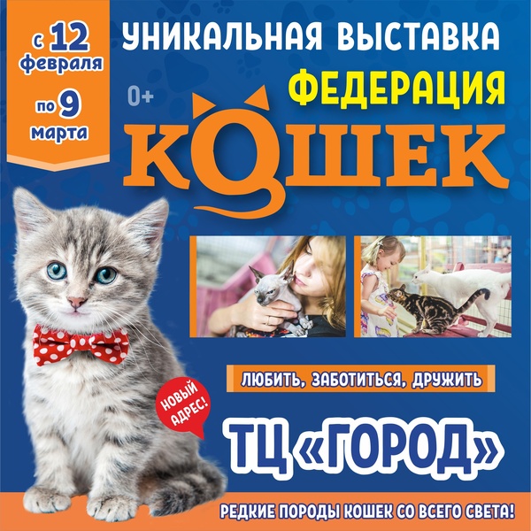 выставка Федерация Кошек