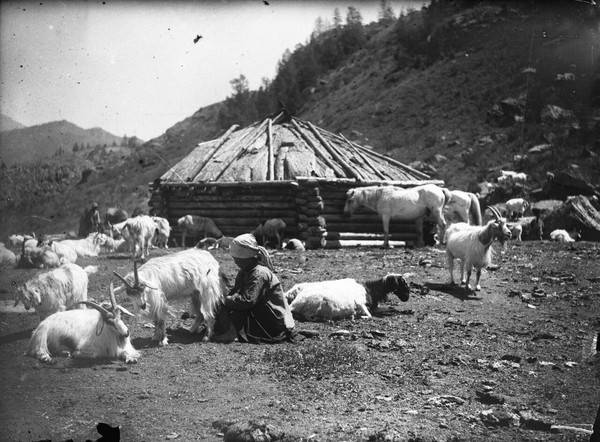 Выставка-досье «Когӧл-майман угынаҥ» к 160-летию потомственного зайсана, Аргымая Кульджина