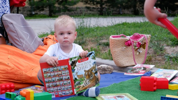 Интерактивная программа «Любовь к книге»