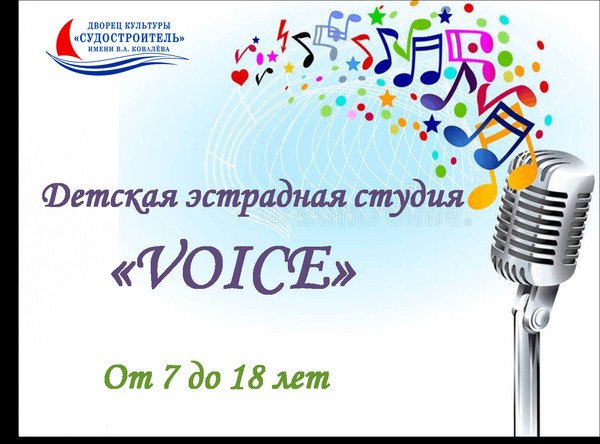 Дополнительный набор в эстрадную студию «VOICE»