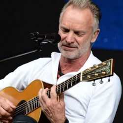 Simple Music Ensemble. Sting