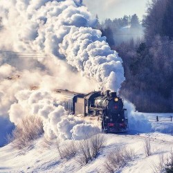 В Карелию на ретропоезде: Водопады и Рускеала