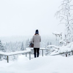 Лучшее в Карелии: водопады, лес, уха и музей в скале