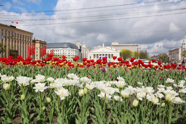 Литературная прогулка «Весна в городе V»