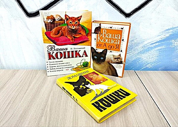 Беседа «Все о котах и кошках»