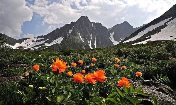 Беседа «Охраняем неспроста заповедные места»