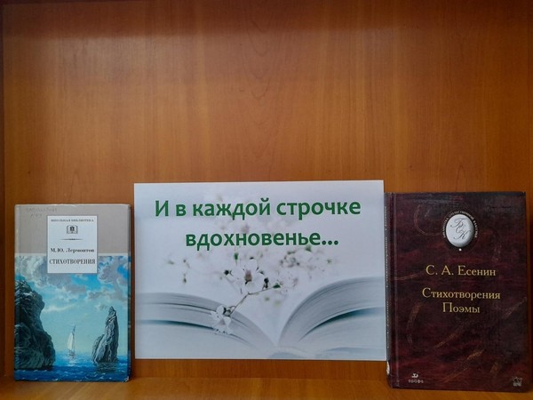 Книжно–иллюстрированная «И в каждой строчке вдохновенье…»