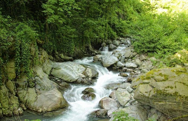 Поход в заповедник Лагодехи