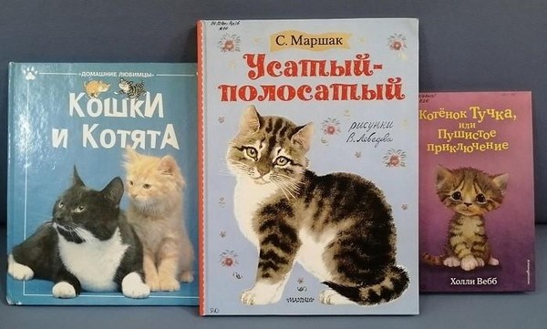 Познавательный час «Усатые, книжные, полосатые»