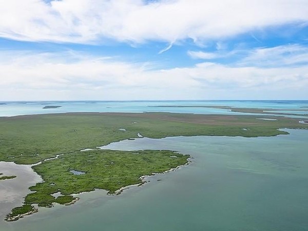 Экочас «Сказ о больших и малых водах Новосибирской области»