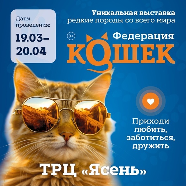 выставка Федерация кошек