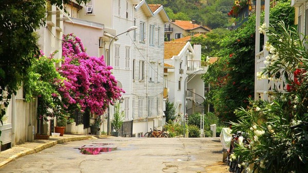 Из Стамбула — на живописные Принцевы острова!