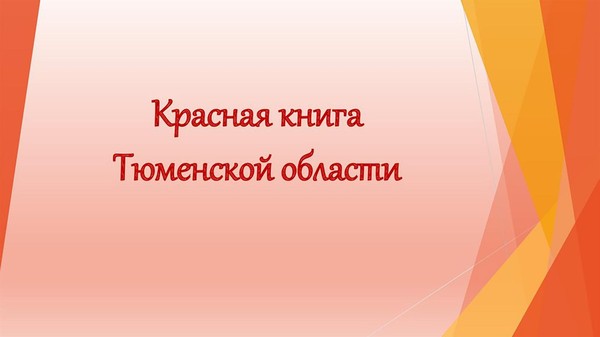 Беседа – знакомство «Красная книга Тюменской области»