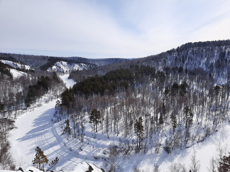 Зимние Бердские скалы и хаски