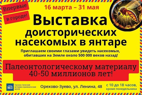 Выставка доисторических насекомых в янтаре