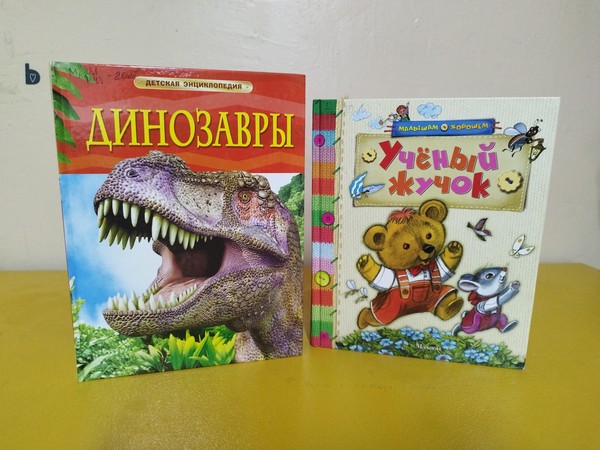 Экскурсия «Давайте знакомиться! Книги!»