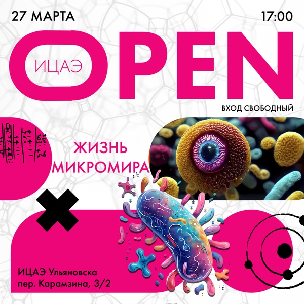 ИЦАЭ OPEN: жизнь микромира