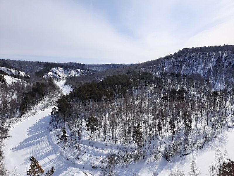 Зимние Бердские скалы и хаски