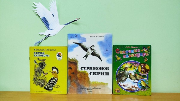 Программа «Птички на книжных страничках»