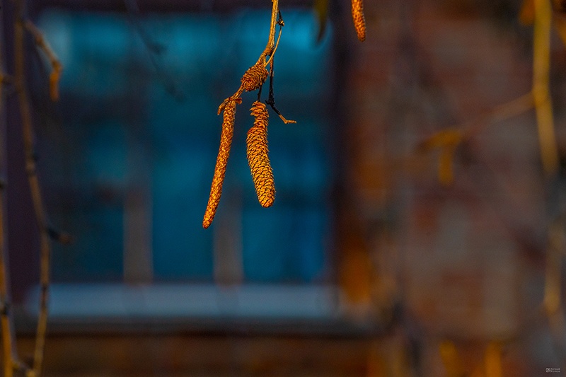 Фотопрогулка «Приметы весны»