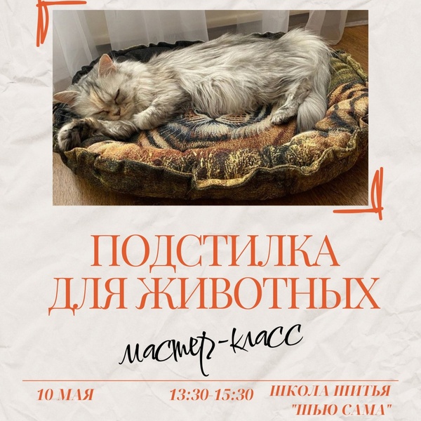 Мастер-класс по созданию подстилки для животных