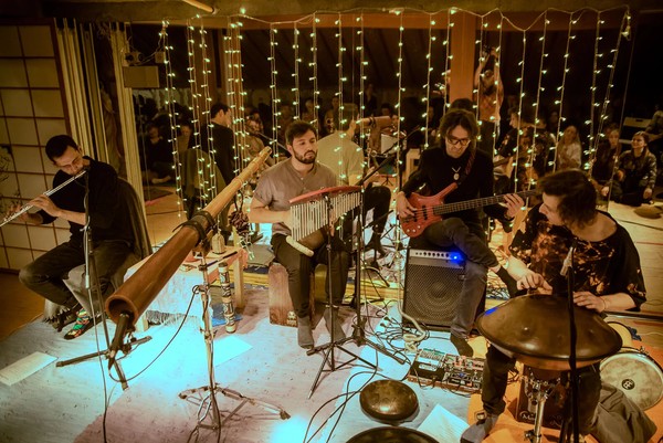 Forest Jam Project