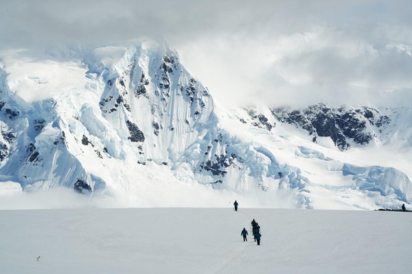 Фотовыставка «Антарктида. Terra incognita»