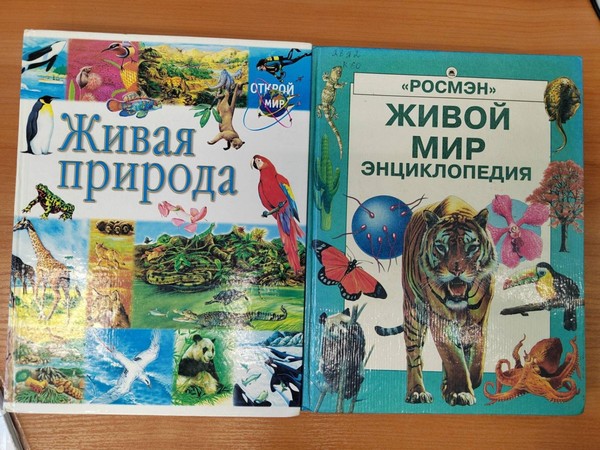 Экологическая игра«Знатоки природы»