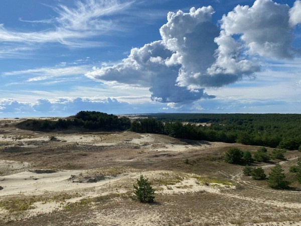 Зеленоградск и Куршская коса: природная граница двух миров