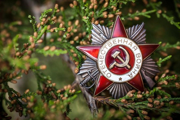 Скайп-мост «Герои давно отгремевшей войны»