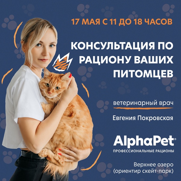 Консультация по питанию от ветеринарного врача